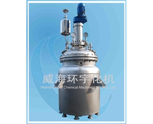 500L Polymerization Reactor